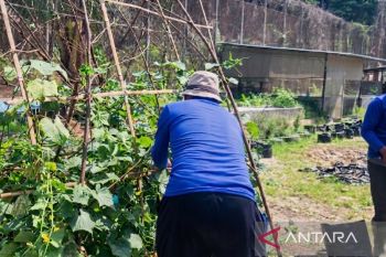 Lapas Narkotika Samarinda libatkan WBP dalam program agribisnis