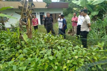 Unand Kembangkan Kopi Parak di Nagari Panti Selatan