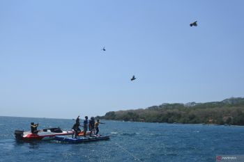 Tradisi ayam terbang di Pasir Putih Situbondo