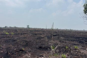 Karhutla di Pematang Pudu, Polres Bengkalis tersangkakan pemilik lahan