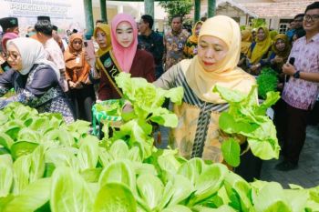 Khofifah dorong sekolah di Jatim kembangkan ketahanan pangan