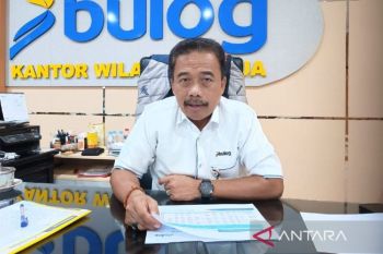 Bulog salurkan beras bantuan pangan ke 845.425 KPM di Tanah Papua