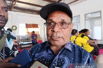 Pemprov Papua Pegunungan anggarkan dana Otsus Rp4 miliar bantu pelaku ekraf