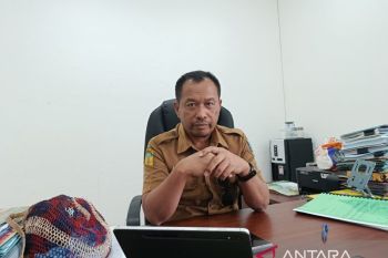Pemkab Jayawijaya pastikan pengelolaan keuangan transparan dengan "SIPD"