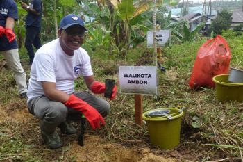 Pemkot Ambon tanam seribu pohon di kawasan DAS Air Besar cegah bencana