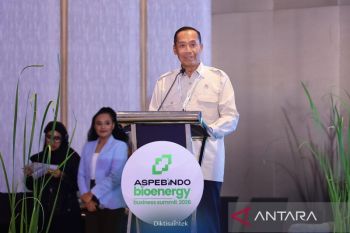 Wamendiktisaintek minta bioenergi dikembangkan demi manfaat masyarakat