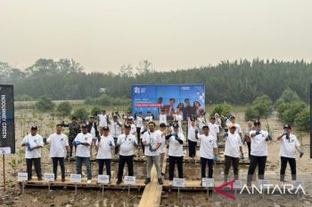 Angkasa Pura tanam 14.000 pohon mangrove di Kubu Raya Kalbar