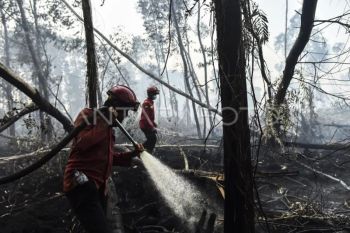 Pemadaman karhutla di Hutan Lindung Gambut Londerang
