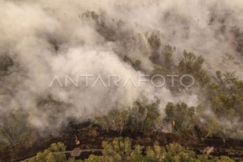 Police name nine corporate suspects in ongoing forest fire probes