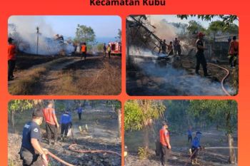 BPBD Bali bersiaga hadapi luasan dampak musim kemarau