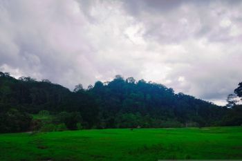 Agam usulkan 1.000 hektare lahan terlantar diaktifkan kembali ke pusat