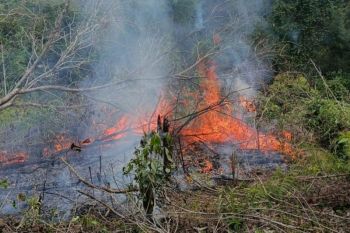 Bantu padamkam karhutla di Indonesia, Jepang kirim kapal dan helikopter