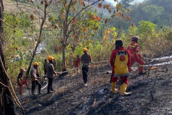 Satbrimob-petugas gabungan padamkan karhutla di Kabupaten Tojo Una-Una