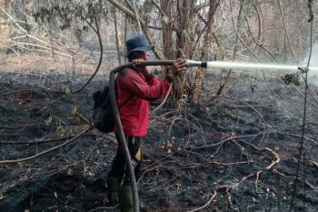 Aksi perusahaan PBPH-HTI padamkan karhutla diapresiasi tokoh masyarakat
