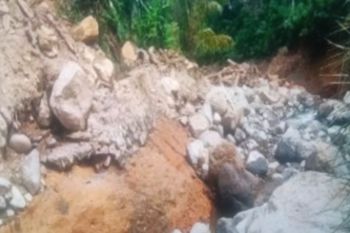 Pemkab Pasaman Barat percepat pembangunan daerah irigasi