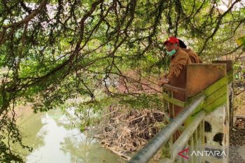 Bupati HST pastikan segera normalisasi Sungai Barabai