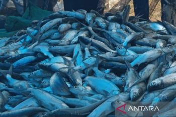 Komoditas perikanan Kota Cirebon memiliki potensi di pasar internasional