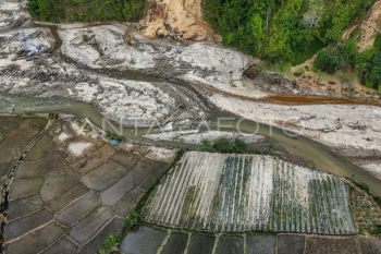 Distanbun usul empat langkah strategis tangani sawah rusak berat di Aceh