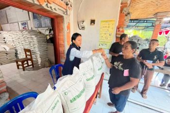 Bulog Bali pastikan beras bantuan pangan layak konsumsi