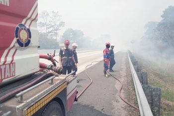Petugas Damkarmat padamkan kebakaran lahan di kawasan Tol Lampung Selatan