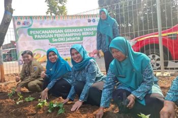 Jakbar canangkan gerakan tanam pangan pendamping beras di 135 lokasi
