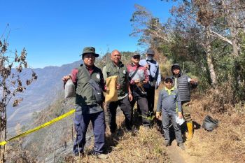 Govt probes alleged criminal acts in Mount Bromo national park fires
