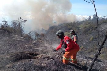 Karhutla hanguskan 600 hektare di kawasan lereng Gunung Semeru