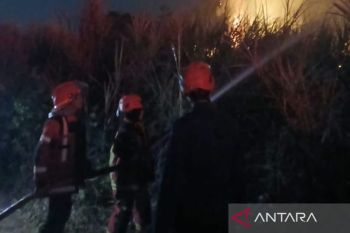 BPBD Cianjur menangani 35 karhutla sepanjang Juli-Agustus 2026