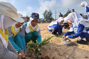 PT Timah - Pemkab Bangka Barat tanam ratusan pohon endemik