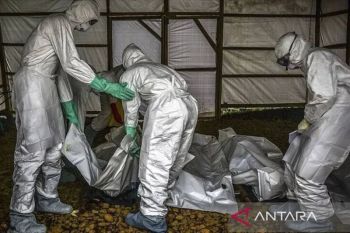 Ebola di Kongo meningkat jadi 6.100 kasus