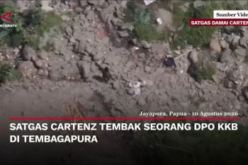 Satgas Cartenz Tembak Seorang Dpo Kkb Di Tembagapura