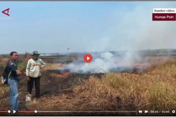 Polri tetapkan 72 tersangka kasus karhutla di sembilan provinsi - VIDEO