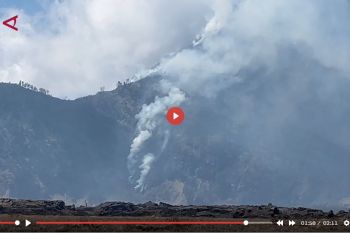 Kebakaran Gunung Bromo meluas, 520 Hektare lahan terbakar - VIDEO