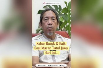 Kabar buruk & baik soal macan tutul jawa hari ini