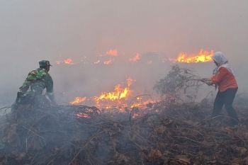 Tim gabungan padamkan karhutla di Penajam hingga Agustus  seluas 89,15 hektare