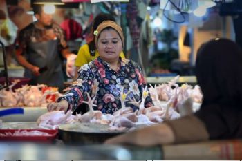 Harga daging ayam ras naik, Riau inflasi 0,31 persen pada Agustus 2026