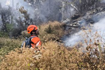 Tim gabungan tangani kebakaran hutan di Gunung Butak Jawa Timur