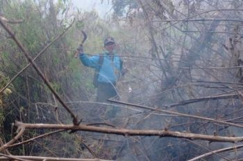 Perhutani pastikan kebakaran di kawasan Gunung Butak berhasil dipadamkan