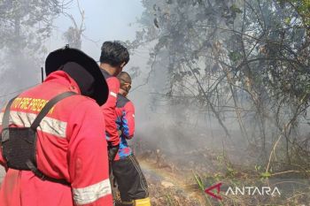 Walhi Kaltim desak evaluasi izin konsesi penyumbang karhutla terbesar