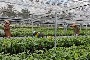 NTP Lampung naik 1,64 persen di Agustus 2026