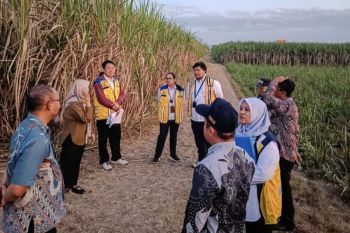 Pembangunan Sekolah Rakyat Tulungagung disesuaikan jalur SUTET