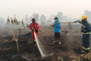 Kebakaran lahan gambut di Singkawang capai 37,27 hektare
