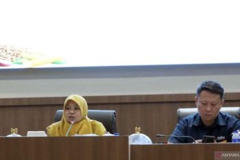 Lampung Selatan perkuat pengawasan penyaluran bantuan pangan