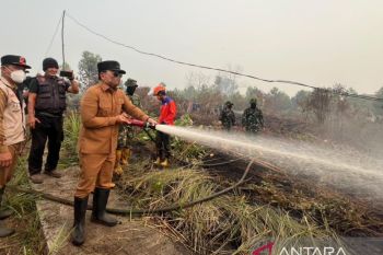 Bupati Kubu Raya dorong penegakan hukum kasus karhutla