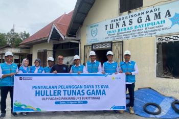 Listrik Andal PLN Dorong Produktivitas Huller Tunas Gama di Tanah Datar