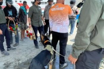 BKSDA Maluku amankan lima Burung Kasturi Ternate dalam uji coba WDD di pelabuhan Ambon