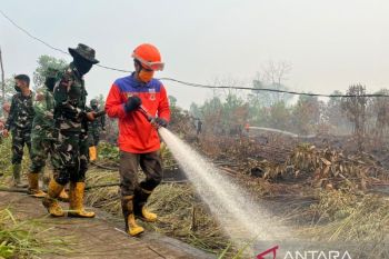 Ketapangdan Kubu Raya mendominasi sebaran titik panas di Kalbar