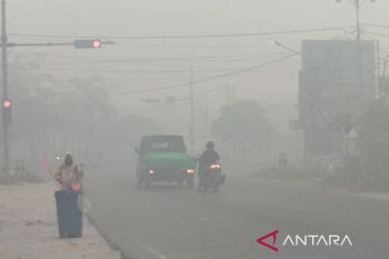 Asap tebal mulai selimuti Pangkalan Bun