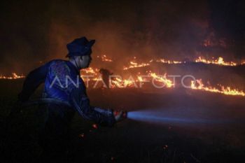 Menhut: Hotspot naik, Kalbar dan Kalteng prioritas penanganan karhutla
