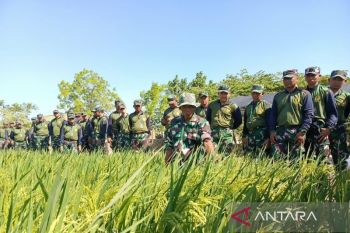 Kodam V/Brawijaya latih 275 personel dukung ketahanan pangan